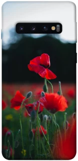 Чехол на Samsung Galaxy S10 Мак фото 1 из 1