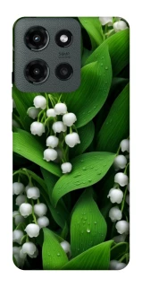 Чохол на Motorola Moto G Power (2025) Flowers v24 фото 1 з 1
