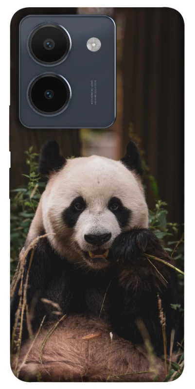 Чехол на Vivo Y36 Панда фото 1 из 1