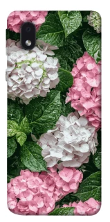 Чохол на Samsung Galaxy M01 Core / A01 Core Secret Garden фото 1 з 1