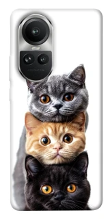 Чохол на Oppo Reno 10 Гарні котики фото 1 з 1