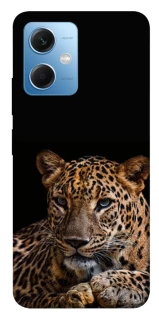 Чехол на Xiaomi Redmi Note 12 5G Leopard v4 фото 1 из 1