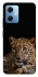 Чохол на Xiaomi Redmi Note 12 5G Leopard v4 фото 1 з 1