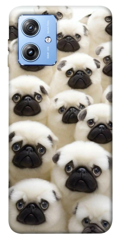 Чохол на Motorola Moto G84 Doggy Pug Love фото 1 з 1