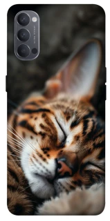 Чохол на Oppo Reno 4 Cat paws фото 1 з 1