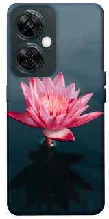 Чехол на OnePlus Nord CE 3 Lite Лотос фото 1 из 1