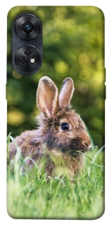 Чохол на Oppo Reno 8T 4G Кролики фото 1 з 1