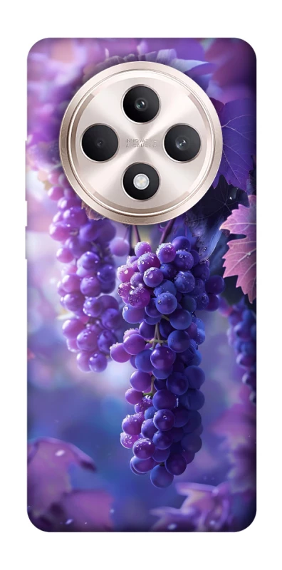 Чехол на Oppo Reno 12 F 4G/5G Bunch of grapes фото 1 из 1