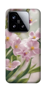 Чохол на Xiaomi 15 Spring фото 1 з 1