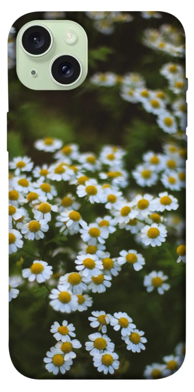 Чехол на Apple iPhone 15 Plus (6.7") Ромашки v13 фото 1 из 1
