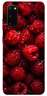 Чехол на Samsung Galaxy S20 Малинка фото 1 из 1