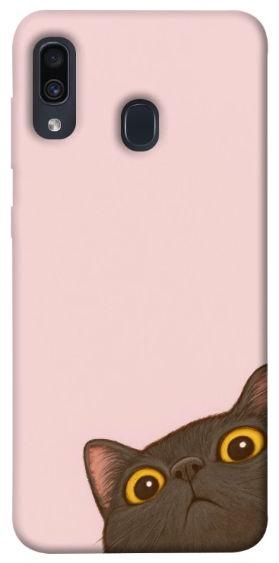 Чохол на Samsung Galaxy A20 / A30 Peeping cat фото 1 з 1