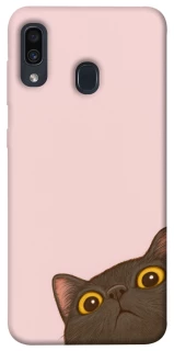 Чехол на Samsung Galaxy A20 / A30 Peeping cat фото 1 Чехол на Samsung Galaxy A20 / A30 Peeping cat фото 1 из 1