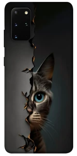 Чехол на Samsung Galaxy S20+ Кот-подглядыватель v2 фото 1 из 1
