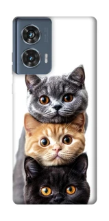 Чохол на Motorola Edge 50 Гарні котики фото 1 з 1