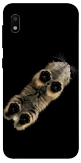 Чохол на Samsung Galaxy A10 (A105F) Cat фото 1 з 1