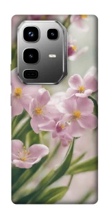 Чохол на Infinix Note 50 Pro Spring фото 1 з 1