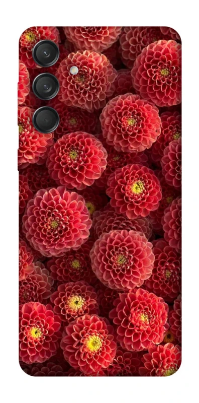 Чохол на Samsung Galaxy M55 Midnight1 фото 1 з 1