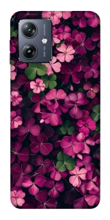 Чохол на Motorola Moto G54 Flowers v7 фото 1 Чохол на Motorola Moto G54 Flowers v7 фото 1 з 1