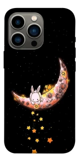 Чохол на Apple iPhone 13 Pro (6.1") Moon rabbit фото 1 з 1
