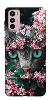 Чохол на Motorola Moto G42 Кіт в квітах фото 1 з 1