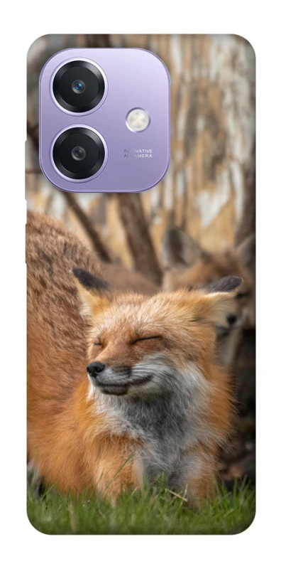 Чехол на Oppo A3X Лиса фото 1 из 1