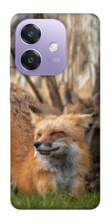 Чехол на Oppo A3X Лиса фото 1 из 1