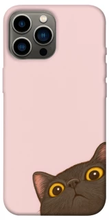 Чохол на Apple iPhone 12 Pro Max (6.7") Peeping cat фото 1 з 1