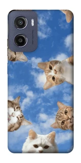 Чехол на Motorola Moto E15 Сats фото 1 из 1