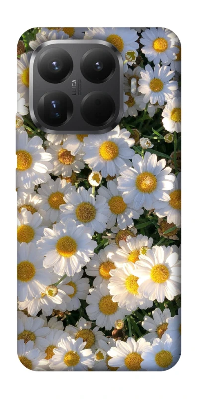 Чохол на Xiaomi 15T Pro Поле ромашок фото 1 з 1