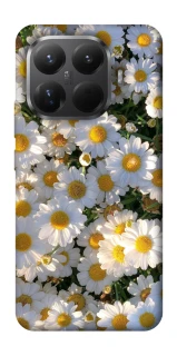 Чохол на Xiaomi 15T Pro Поле ромашок фото 1 з 1