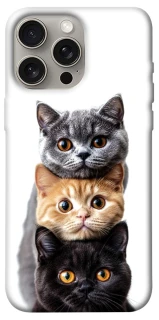 Чехол Красивые котики фото 1 из 1