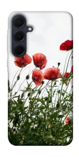 Чохол на Samsung Galaxy A55 Поле маків фото 1 з 1