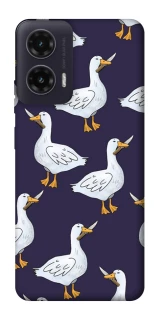 Чохол на Motorola Moto G35 Гуси з претензією фото 1 з 1