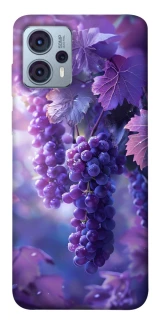 Чохол на Motorola Moto G23 Bunch of grapes фото 1 Чохол на Motorola Moto G23 Bunch of grapes фото 1 з 1