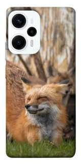 Чохол на Xiaomi Poco F5 / Note 12 Turbo Лисиця фото 1 з 1