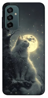 Чохол на Samsung Galaxy M23 5G Кіт під місяцем фото 1 з 1