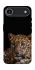 Чохол на Apple iPhone 17 Air (6.5") Leopard v4 фото 1 з 1