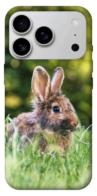 Чохол на Apple iPhone 18 Pro Max Кролики фото 1 з 2
