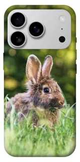Чохол на Apple iPhone 18 Pro Max Кролики фото 1 з 2