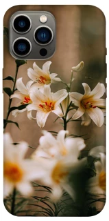 Чохол на Apple iPhone 12 Pro Max (6.7") Лілії фото 1 з 1