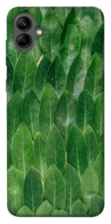 Чохол на Samsung Galaxy A04 Листя фото 1 з 1