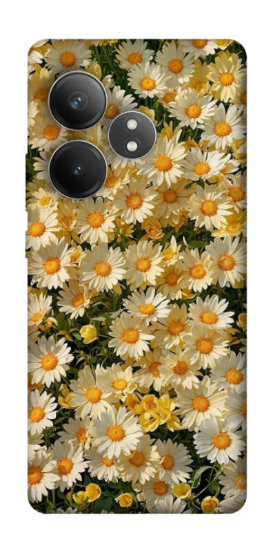 Чохол на Realme GT Neo 6 SE Camomile фото 1 з 1