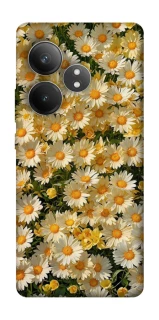 Чохол на Realme GT Neo 6 SE Camomile фото 1 з 1