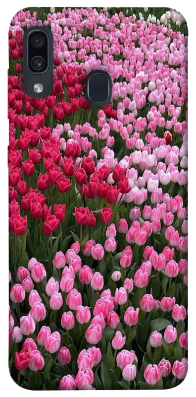 Чохол на Samsung Galaxy A20 / A30 Flowers v9 фото 1 з 1