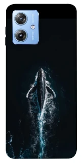 Чохол на Motorola Moto G84 Whale фото 1 з 1