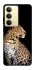 Чохол на Realme 14x Leopard v2 фото 1 з 1