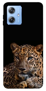 Чохол на Motorola Moto G84 Leopard v4 фото 1 з 1