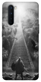 Чехол на OnePlus Nord Valhalla фото 1 из 1