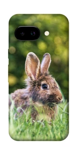 Чехол на Google Pixel 9a Кролики фото 1 Чехол на Google Pixel 9a Кролики фото 1 из 1